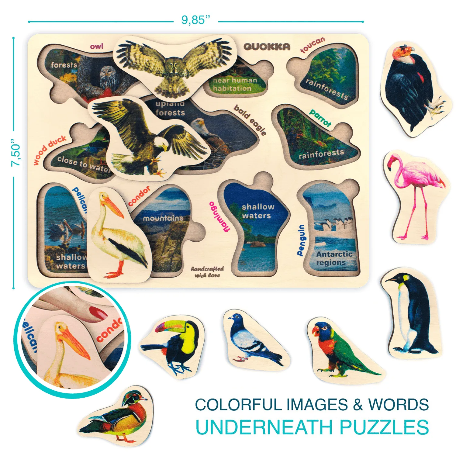 6 Realistic Toddler Wooden Puzzles | Fruits, Animals